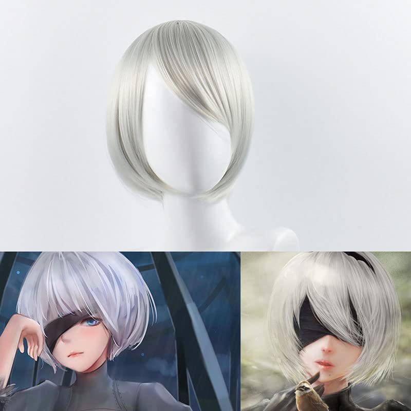 Short Sliver Cosplay Wigs for  - Men'S Accessories Types 评论和价格